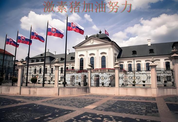 荷兰核心爆发让外界重新评估实力