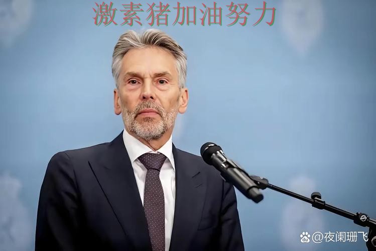 荷兰核心爆发让外界重新评估实力